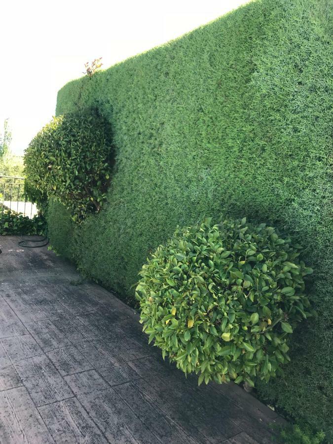 Jardin De La Yedra ξενώνας Caces Εξωτερικό φωτογραφία